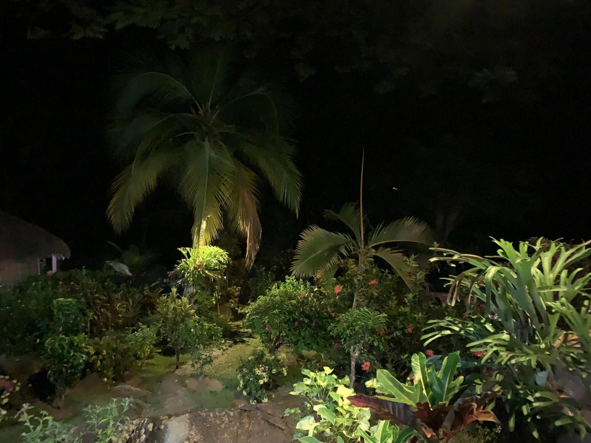 Les Jardins D'Ankify Bed & Breakfast Andimaka Екстериор снимка