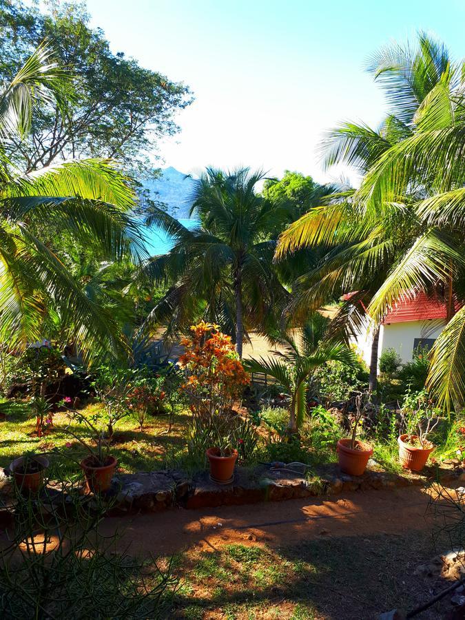 Les Jardins D'Ankify Bed & Breakfast Andimaka Екстериор снимка
